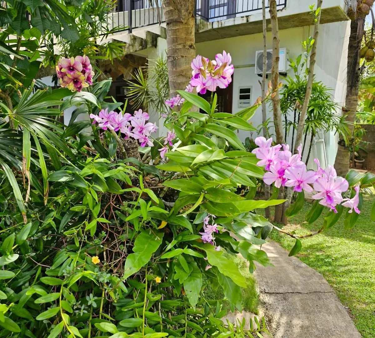 Optimum Residencies Bed and Breakfast Negombo 0*,  Sri Lanka