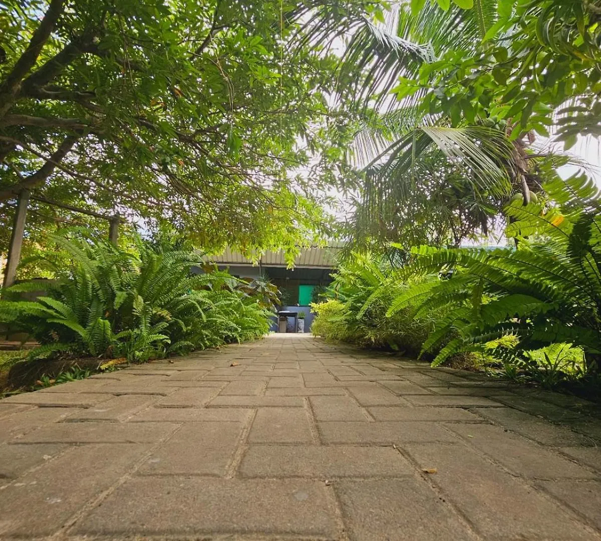Optimum Residencies Bed & Breakfast Negombo Sri Lanka